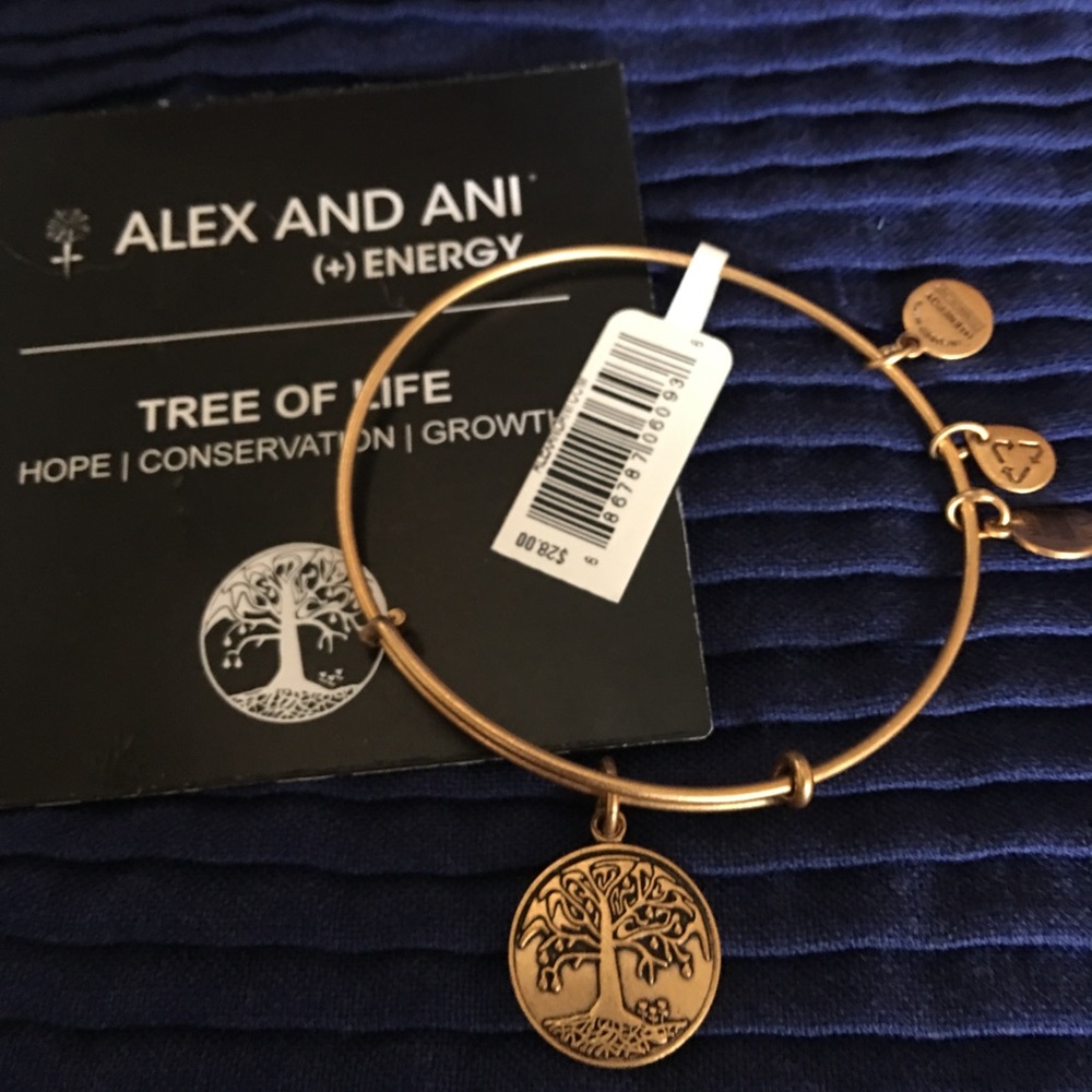 ALEX AND ANI (+) energy